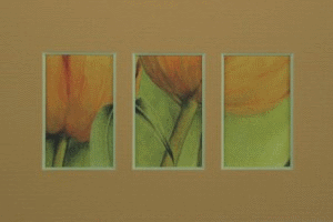 Passepartout Mehrfachausschnitte